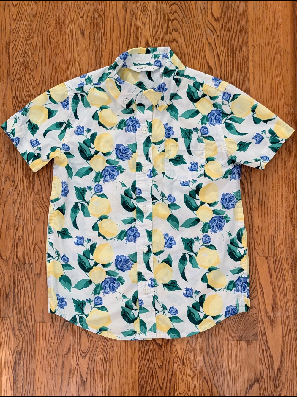 Janie and Jack Boys Lemon and Floral Short Sleeve Cotton Button Down Shirt